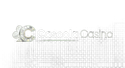 Casoola Casino